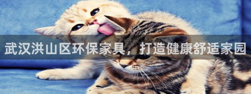 杏耀官网游戏