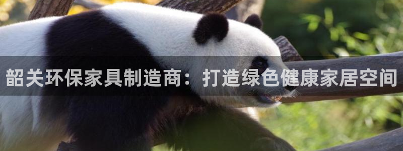 杏耀登陆测速