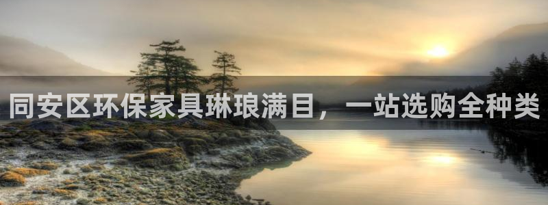 杏耀3代理