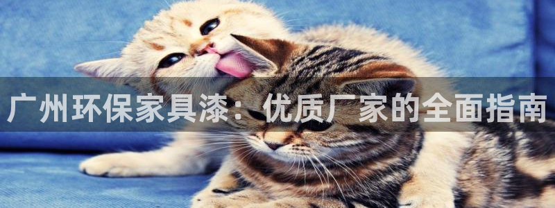 杏耀官网娱乐