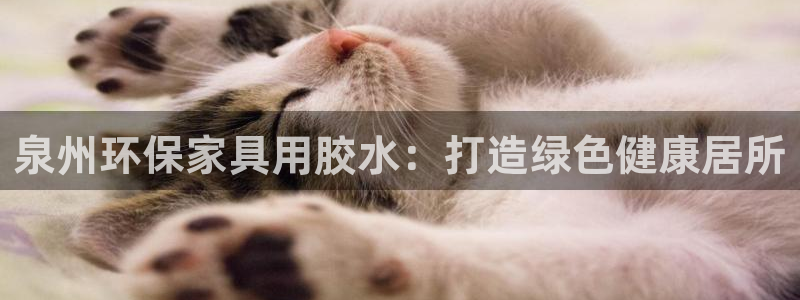 杏耀平台网页版
