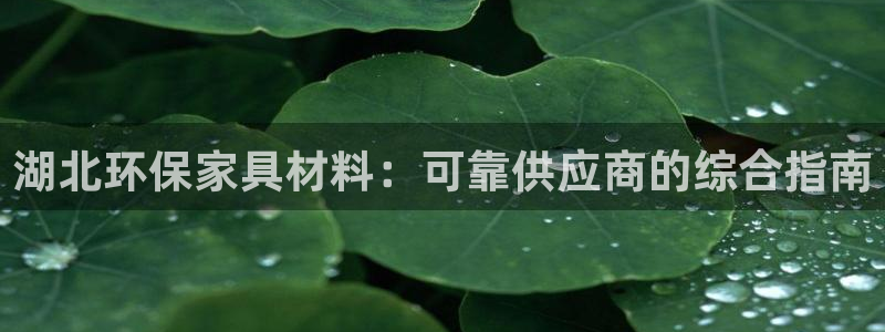 杏耀平台怎么注册：湖北环保家具材料：可靠供应商的综合指南