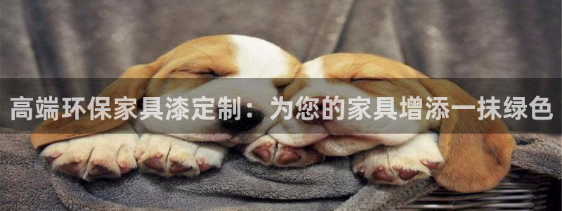 杏耀客户端登录：高端环保家具漆定制：为您的家具增添一抹绿色