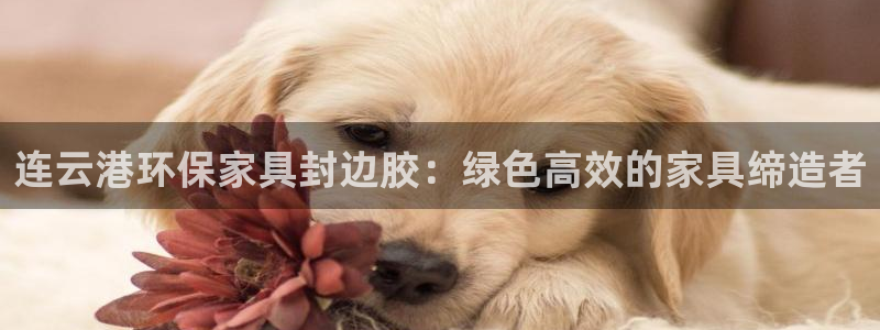 杏耀代理主管qq：连云港环保家具封边胶：绿色高效的家具缔造者