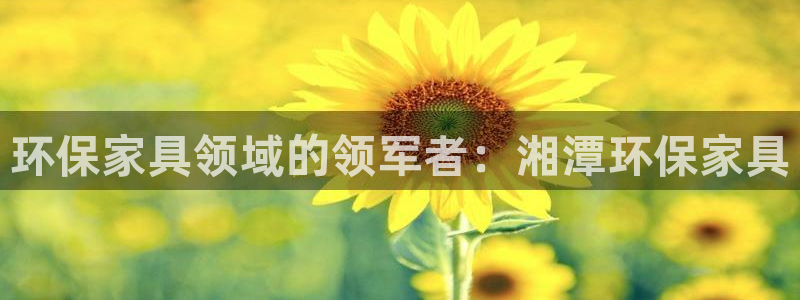 杏耀平台待遇：环保家具领域的领军者：湘潭环保家具