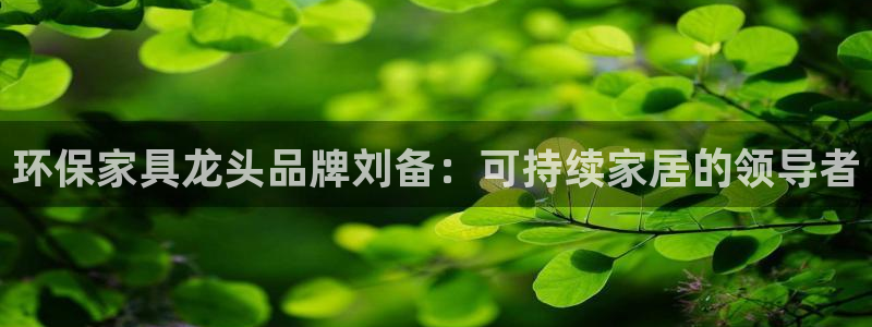 杏耀代理官网：环保家具龙头品牌刘备：可持续家居的领导者