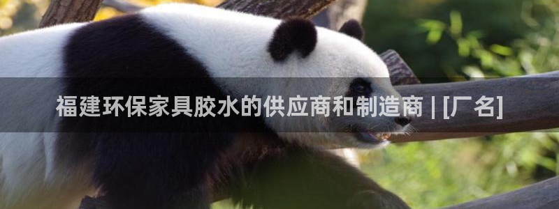杏耀平台手机下载：福建环保家具胶水的供应商和制造商 | [厂