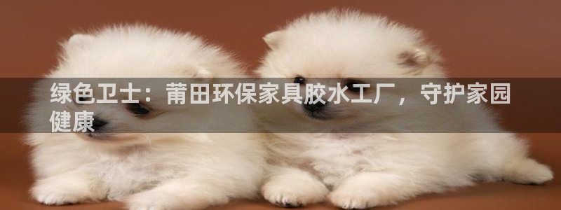 杏耀平台代理注册多少钱：绿色卫士：莆田环保家具胶水工厂，守护