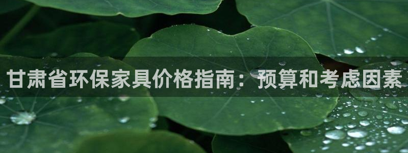 杏耀官方注册中心：甘肃省环保家具价格指南：预算和考虑因素