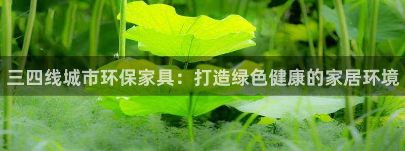 杏耀软件：三四线城市环保家具：打造绿色健康的家居环境