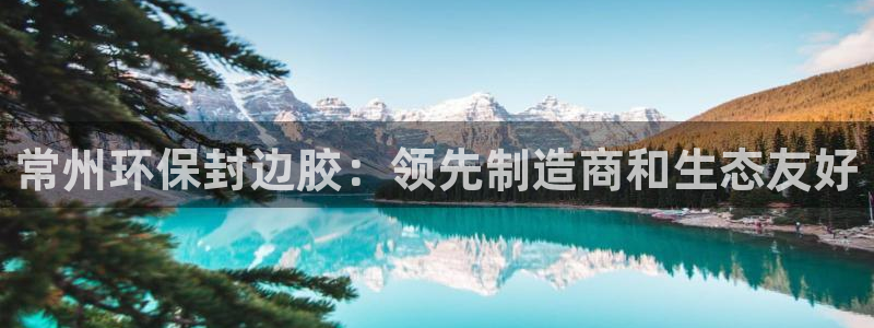 杏耀平台指定：常州环保封边胶：领先制造商和生态友好