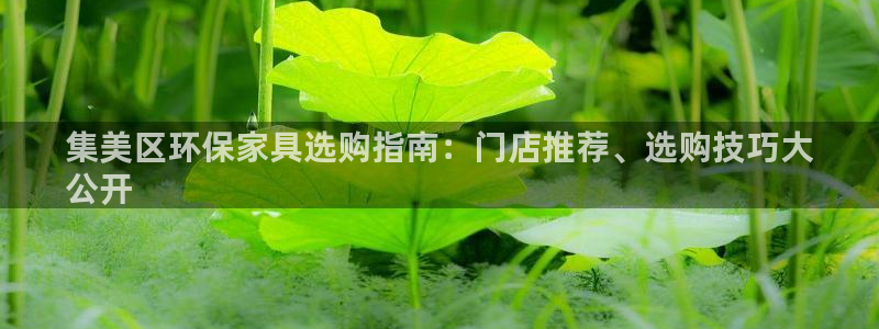 杏耀平台登录网址：集美区环保家具选购指南：门店推荐、选购技巧