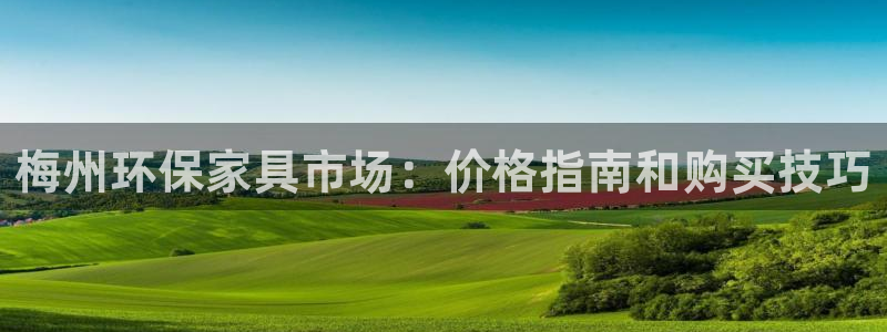 杏耀登陆线路：梅州环保家具市场：价格指南和购买技巧