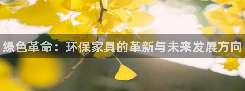 杏耀注册主管：绿色革命：环保家具的革新与未来发展方向