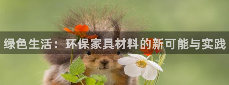 杏耀如何注册：绿色生活：环保家具材料的新可能与实践