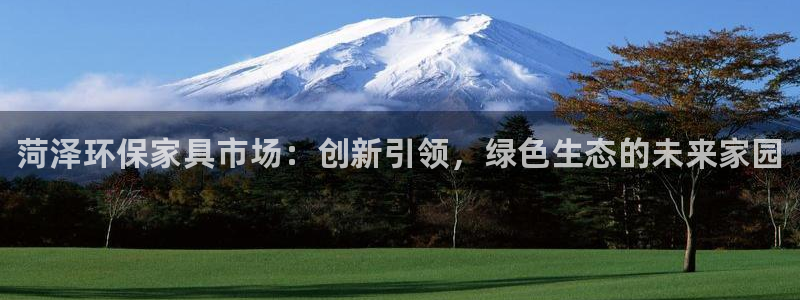 杏耀官方网：菏泽环保家具市场：创新引领，绿色生态的未来家园