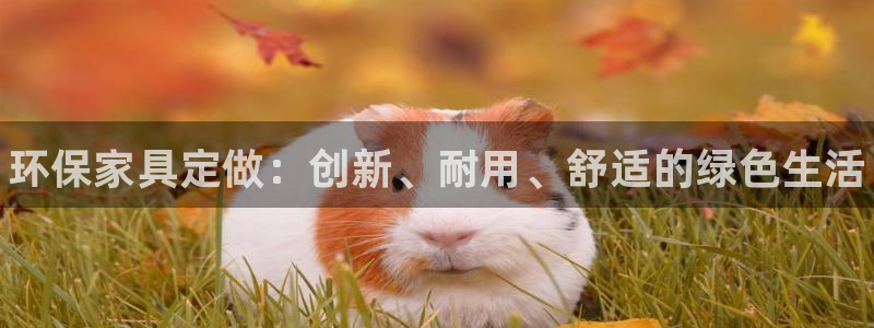 杏耀注册地址：环保家具定做：创新、耐用、舒适的绿色生活