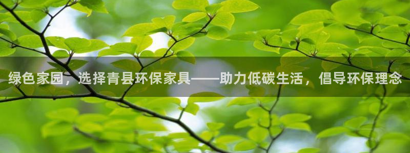 杏耀代理官网：绿色家园，选择青县环保家具——助力低碳生活，倡