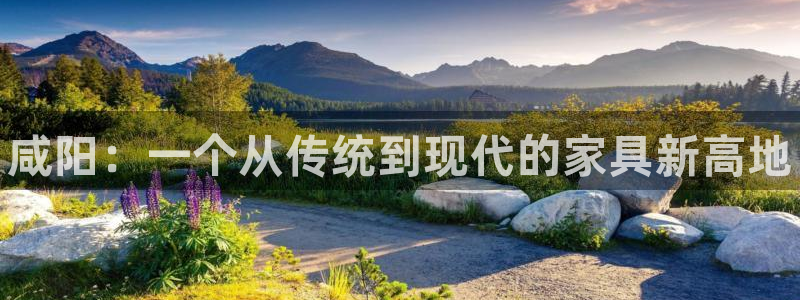 杏耀平台主管：咸阳：一个从传统到现代的家具新高地