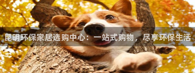 杏耀登入测速：昆明环保家居选购中心：一站式购物，尽享环保生活